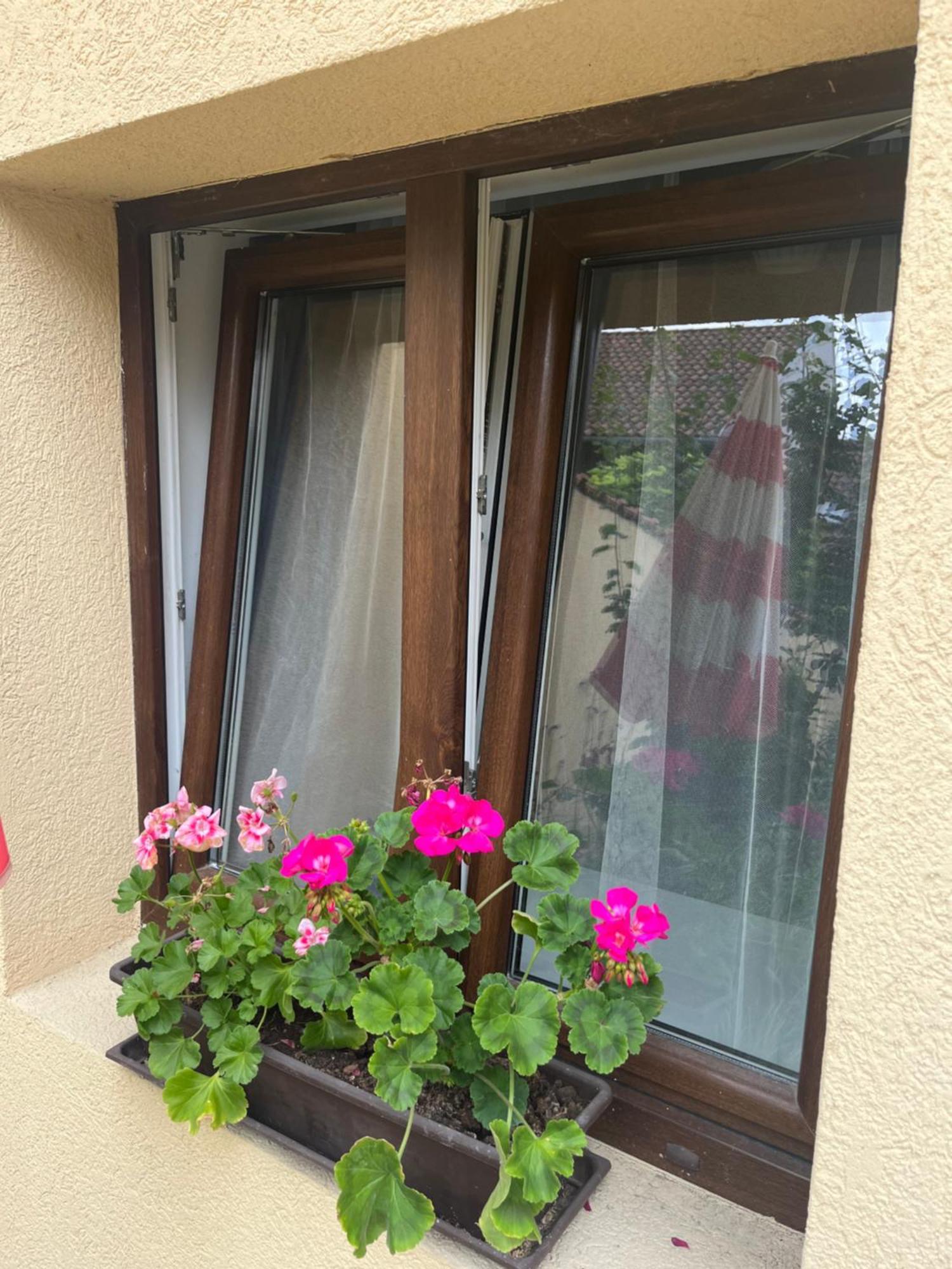 Kerti franciaágyas apartman Vác Esterno foto